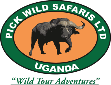 Pick Wild Safaris