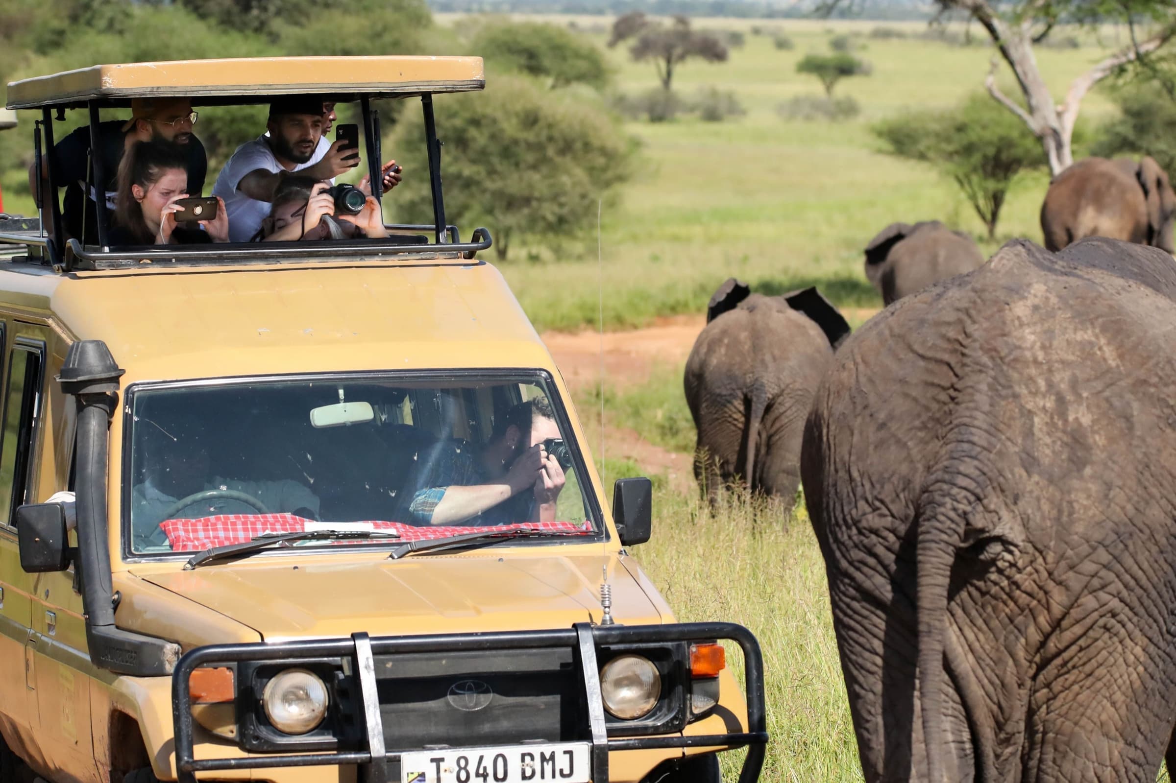 Photography Safaris